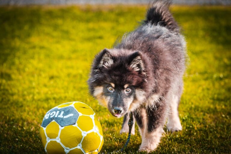 Lektury dla klasy 7 – co przeczytać w szkole podstawowej