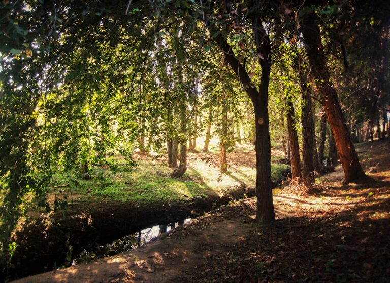 Romantyzm w sztuce - malarstwo, muzyka i architektura epoki