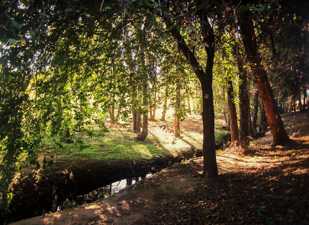 Romantyzm w sztuce - malarstwo, muzyka i architektura epoki
