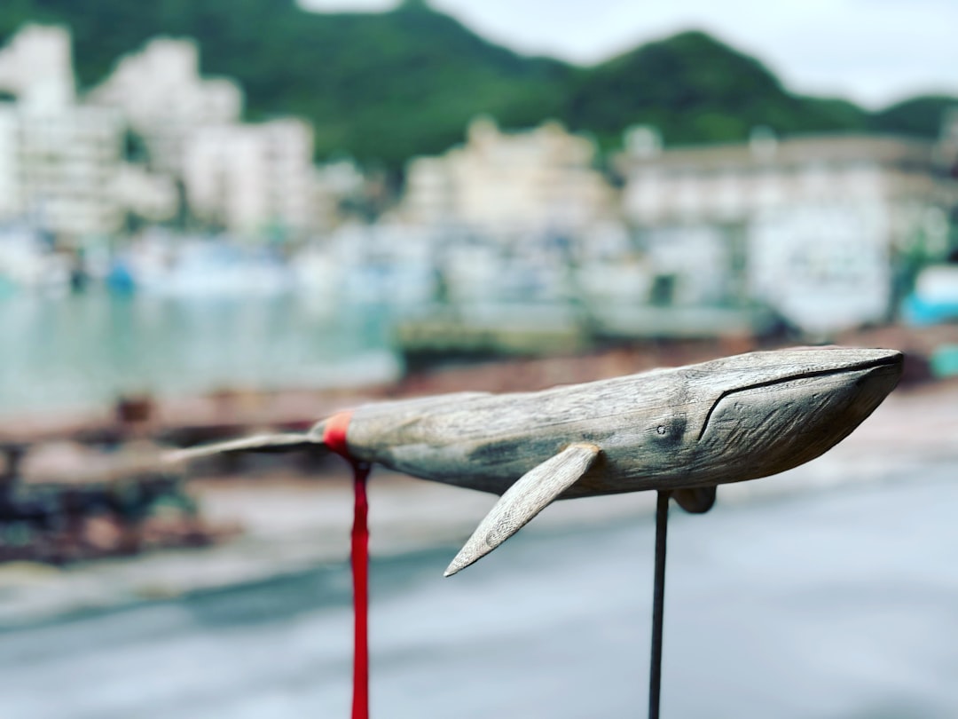 Skawiński w Latarniku - dlaczego opuścił latarnię?